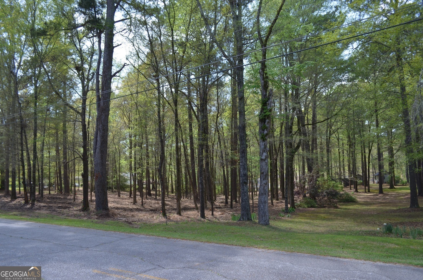 1539 Tobesofkee Point DR