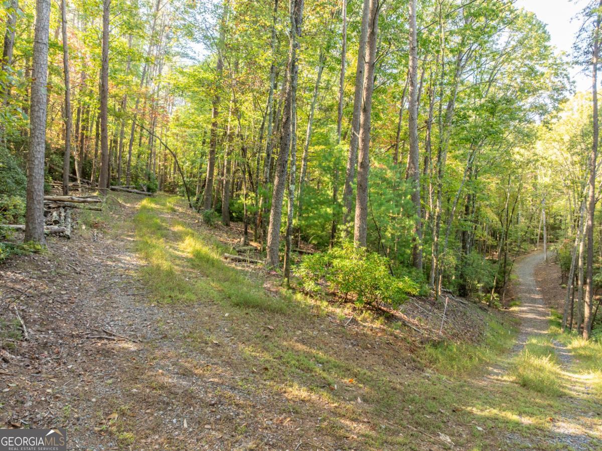 TRACT 1 Turniptown RD