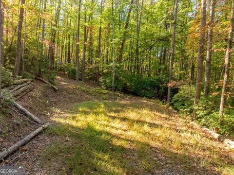 Photo of 1 Turniptown Road, Ellijay, GA 30536 (MLS # 10847728)