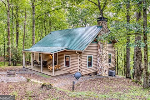 371 Abbott Top RD Ellijay GA 30540