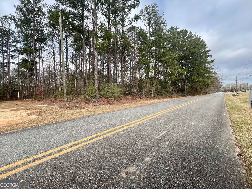Photo of 723 Allisha Gray Lane, Sandersville, GA 31082 (MLS # 10455566)