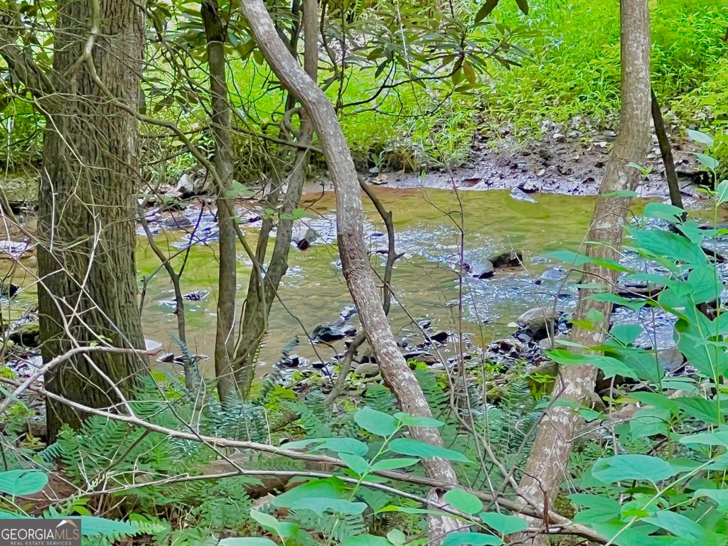 Photo of 4 Lower Fox Trail, Blairsville, GA 30512 (MLS # 10760951)