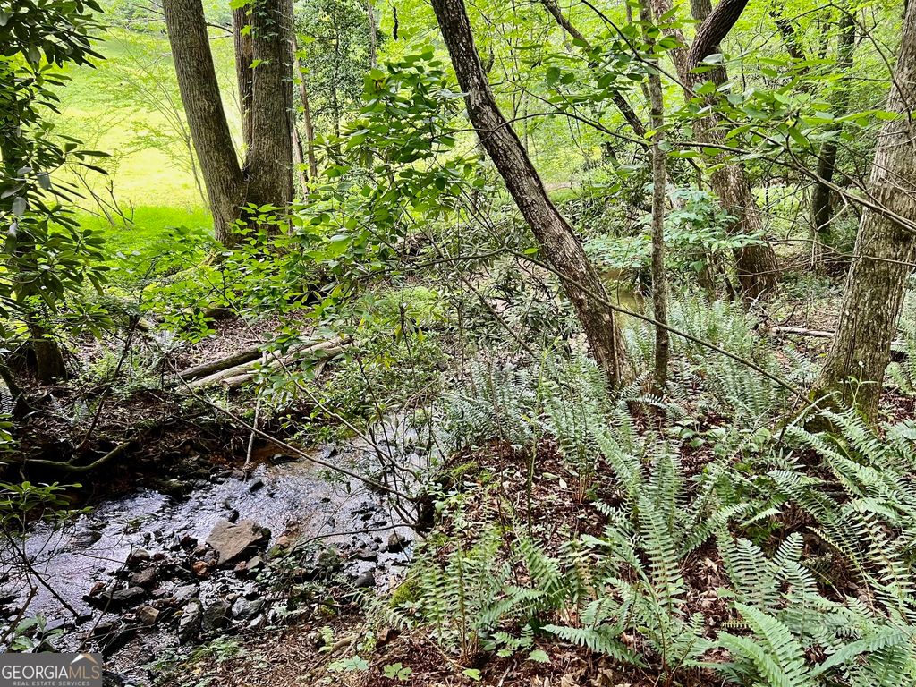Photo of 4 Lower Fox Trail, Blairsville, GA 30512 (MLS # 10760951)
