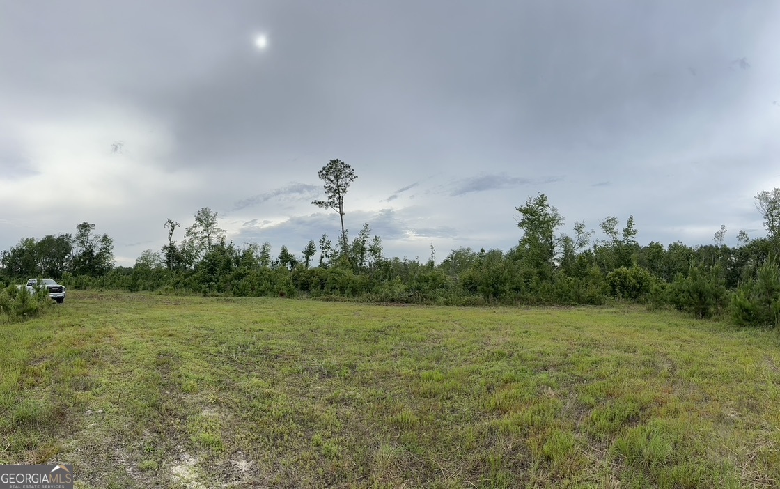 This property is located in desirable Southwest Laurens County and is the ideal foundation for an exceptional recreational and hunting camp. This expansive 70+/- acres has a much larger feel, as it stretches across multiple hardwood branches and rolling hilltops. This tract is RV friendly and has endless potential for hunters and outdoor enthusiast. Key features of this property include the 2023 planted pine plantation that currently serves as bedding, cover, and natural browse for whitetail and other game species, while also providing future income potential from timber harvest. Another highlight is the seasonal creek system, known as Hawks Pond Branch, it cuts the property into multiple sections as it extends from agriculture fields to pastureland at the boundary lines. This element of hardwood bottoms that winds through the lower elevations of the property creating a maze of natural funnels and pinch points. Furthermore, this 10 acres of bottomland habitat provides additional elements of diversity for atv riding, trail horses, and hiking. The seller took it upon themselves to further enhance the accessibility of this tract by cutting miles of internal roads and trails, essential for accessing every acre of food plots and fields strategically placed throughout the property drawing wildlife such as deer turkey, small game, and upland bird species such as quail. WILL SUBDIVIDE. Survey Required. Showing by appointment only.