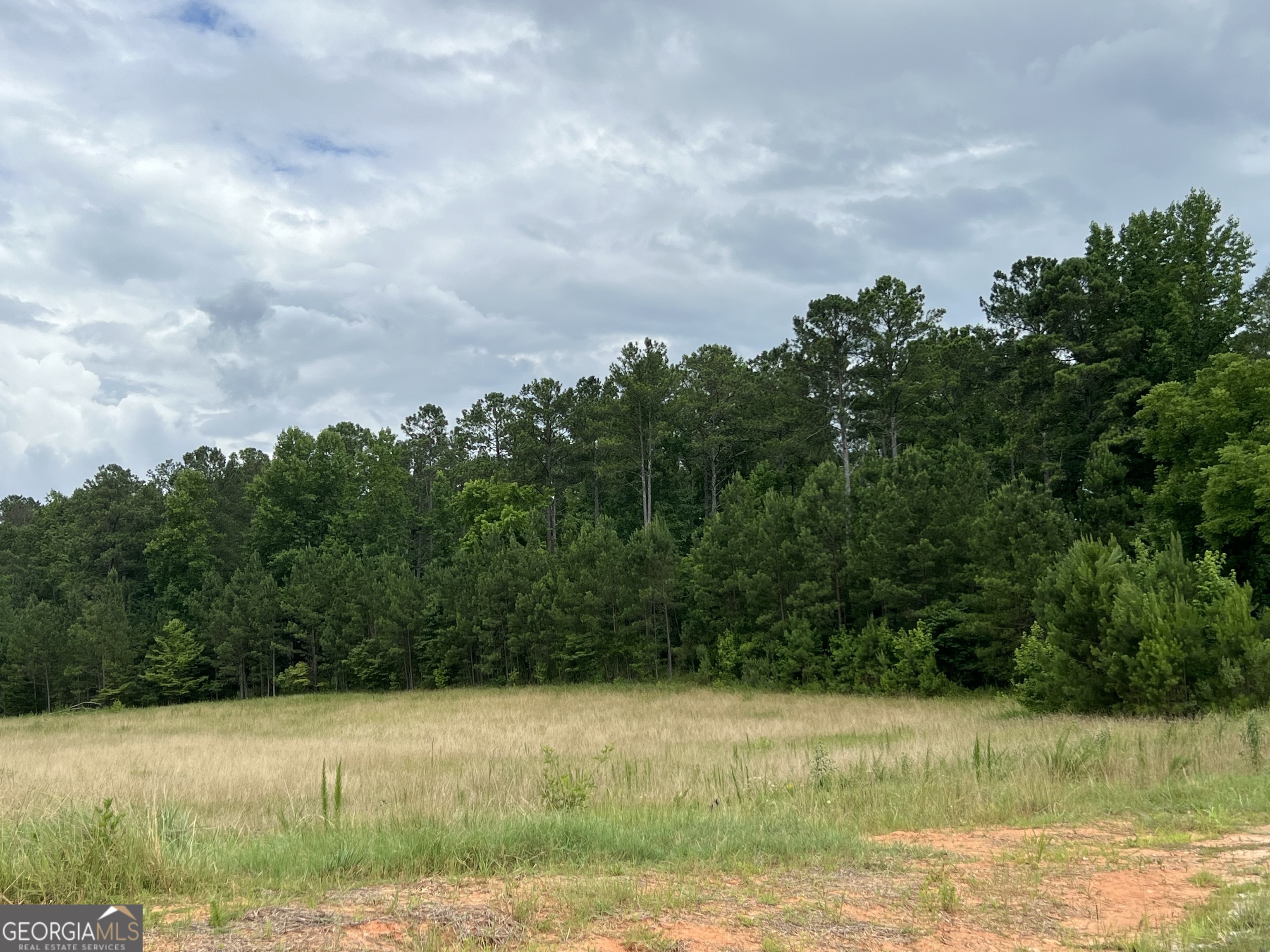 Moreland, Georgia 30259, United States, ,Land,Pending,23310