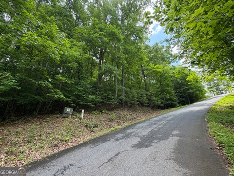 Photo of 7 Mill Ridge Road, Hiawassee, GA 30546 (MLS # 10790745)