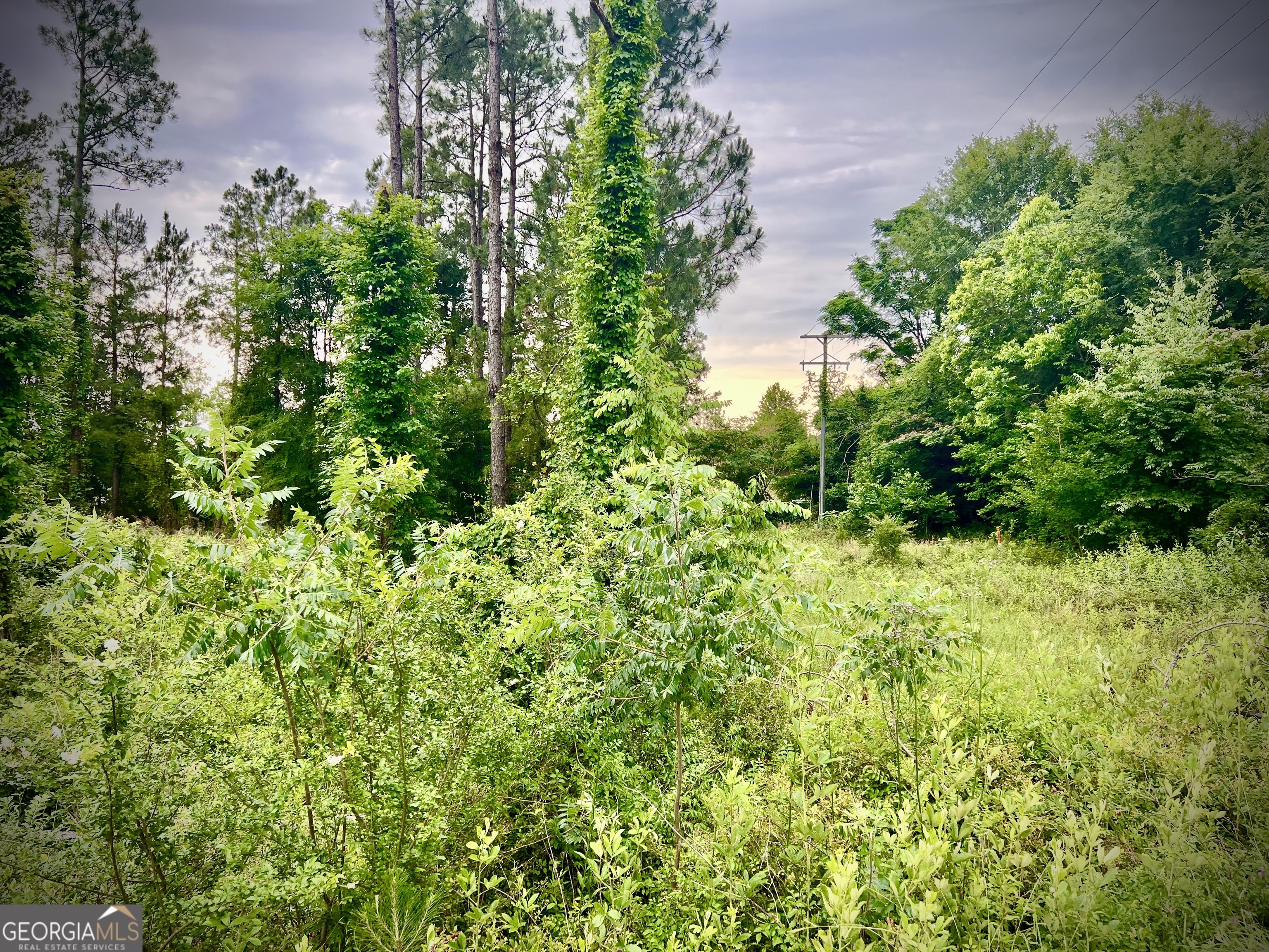 Shewmake Estates - Land