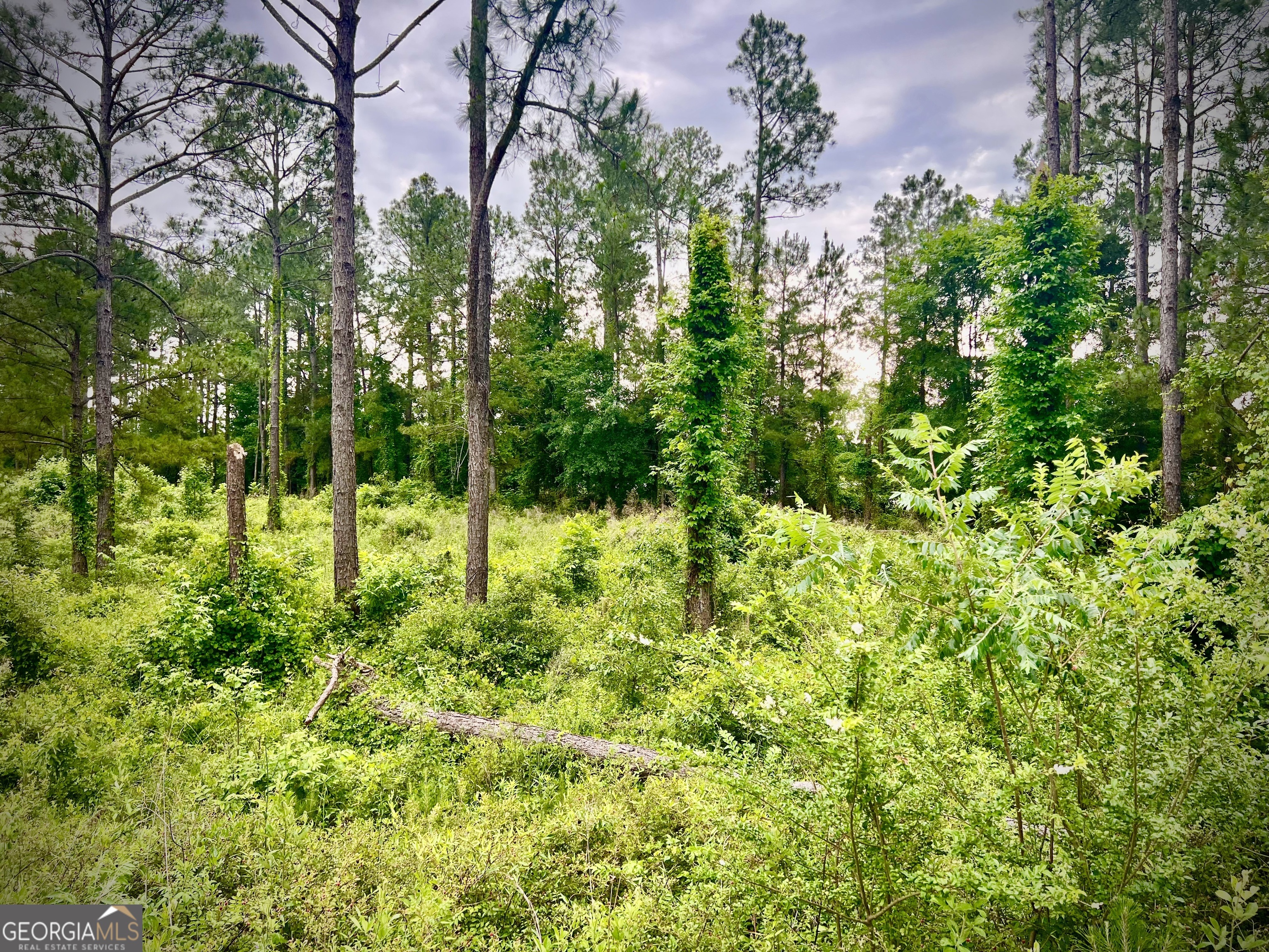 Shewmake Estates - Land