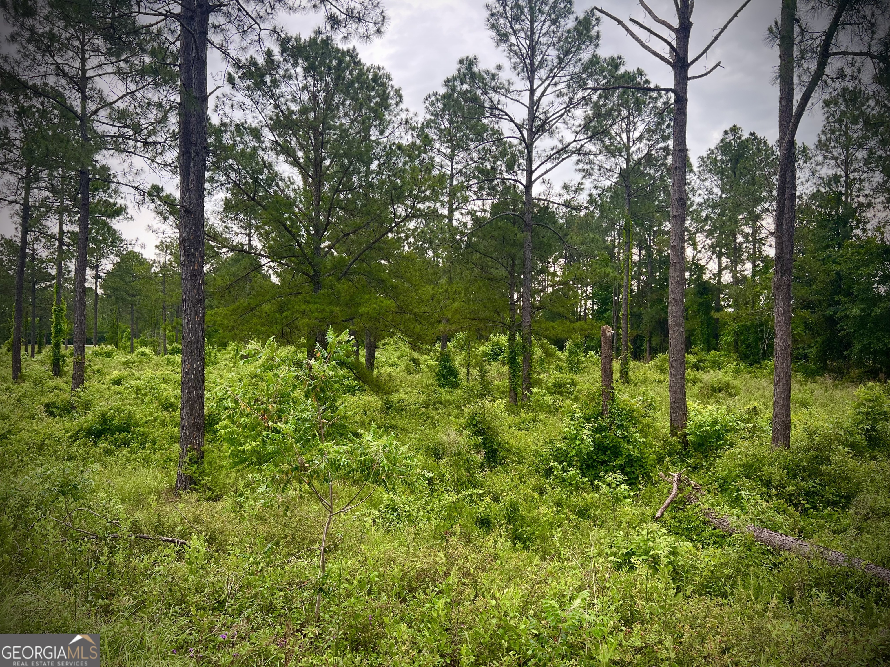 Shewmake Estates - Land