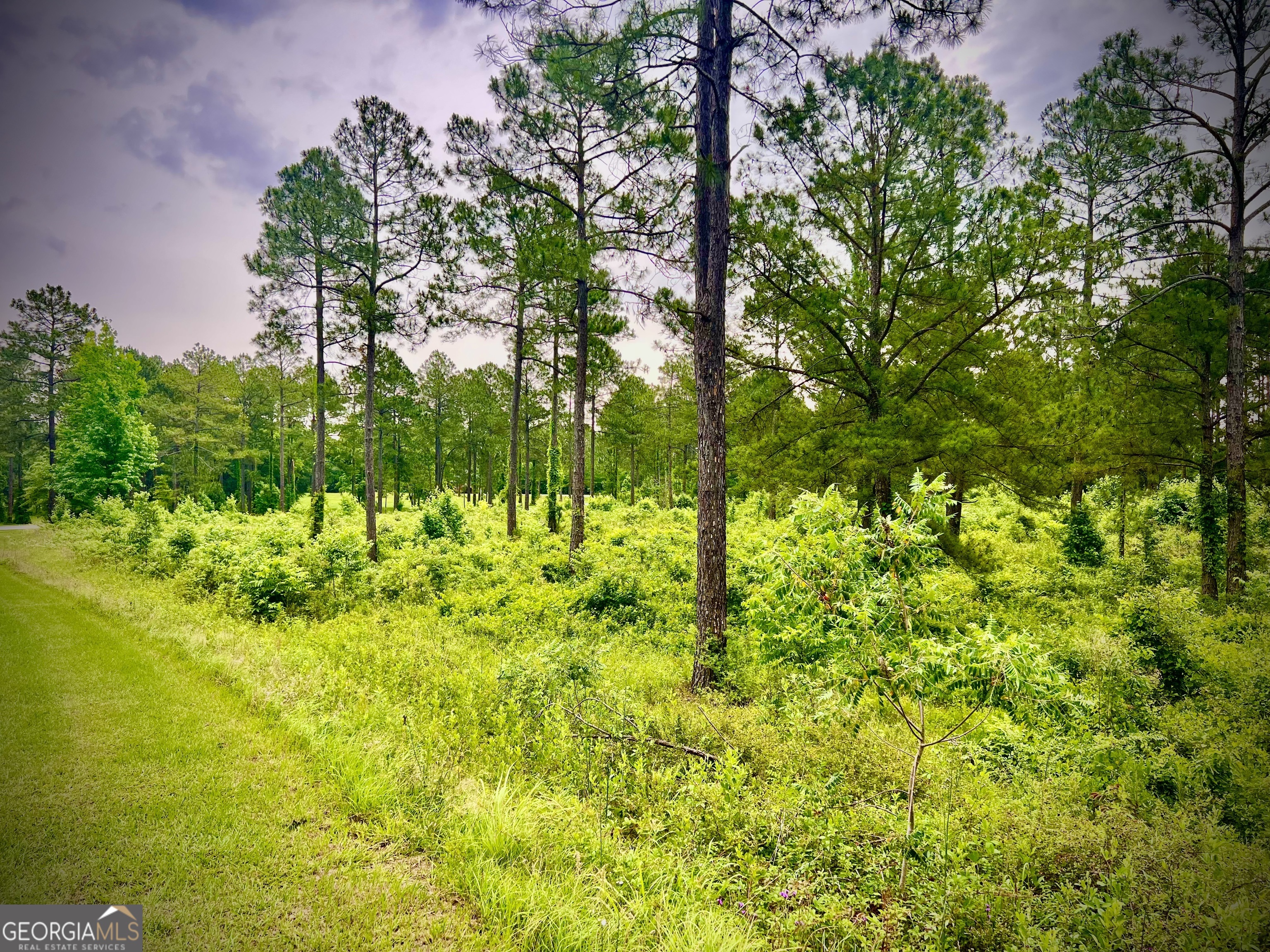 Shewmake Estates - Land