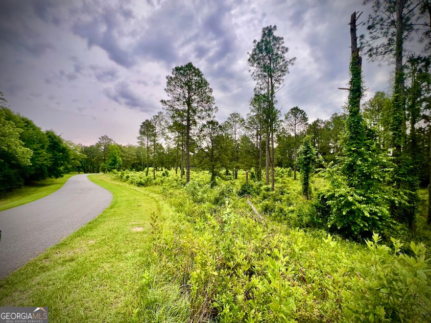 Build your dream home on this stunning 5-acre corner lot in the desirable Shewmake Estates subdivision! Located at the intersection of Shewmake Estates and Walke Dairy Road, this beautiful tract offers the perfect blend of privacy and convenience in the county. Gently rolling and surrounded by nature, the property provides ample space for your custom home, garden, workshop, or recreational retreat. Covenants in place help preserve the integrity and charm of the neighborhood. Don't miss this rare opportunity to own a spacious homesite in Laurens County.
