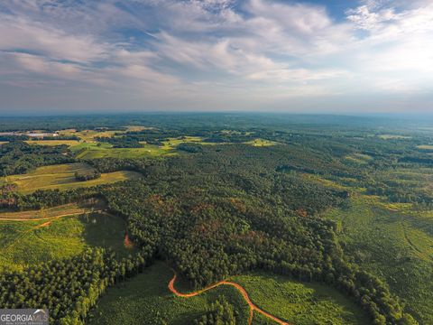 Photo of 0 Caney Head Road, Roopville, GA 30170 (MLS # 10666252)