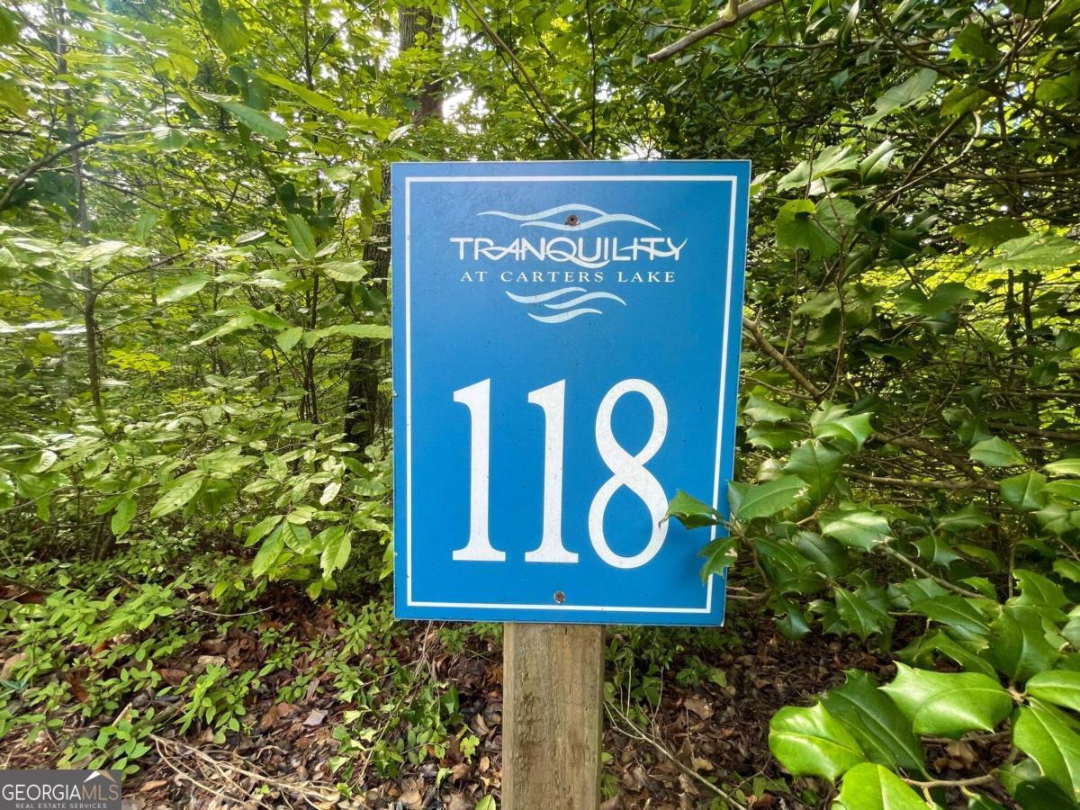 LOT 118 Beech Tree DR