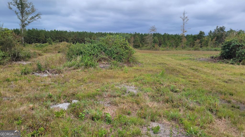 Photo of 88 Rogers Break Road, Jesup, GA 31546 (MLS # 10775604)