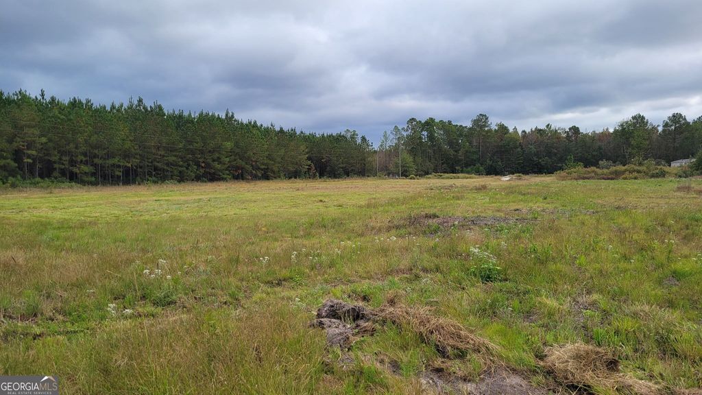 Photo of 88 Rogers Break Road, Jesup, GA 31546 (MLS # 10775604)