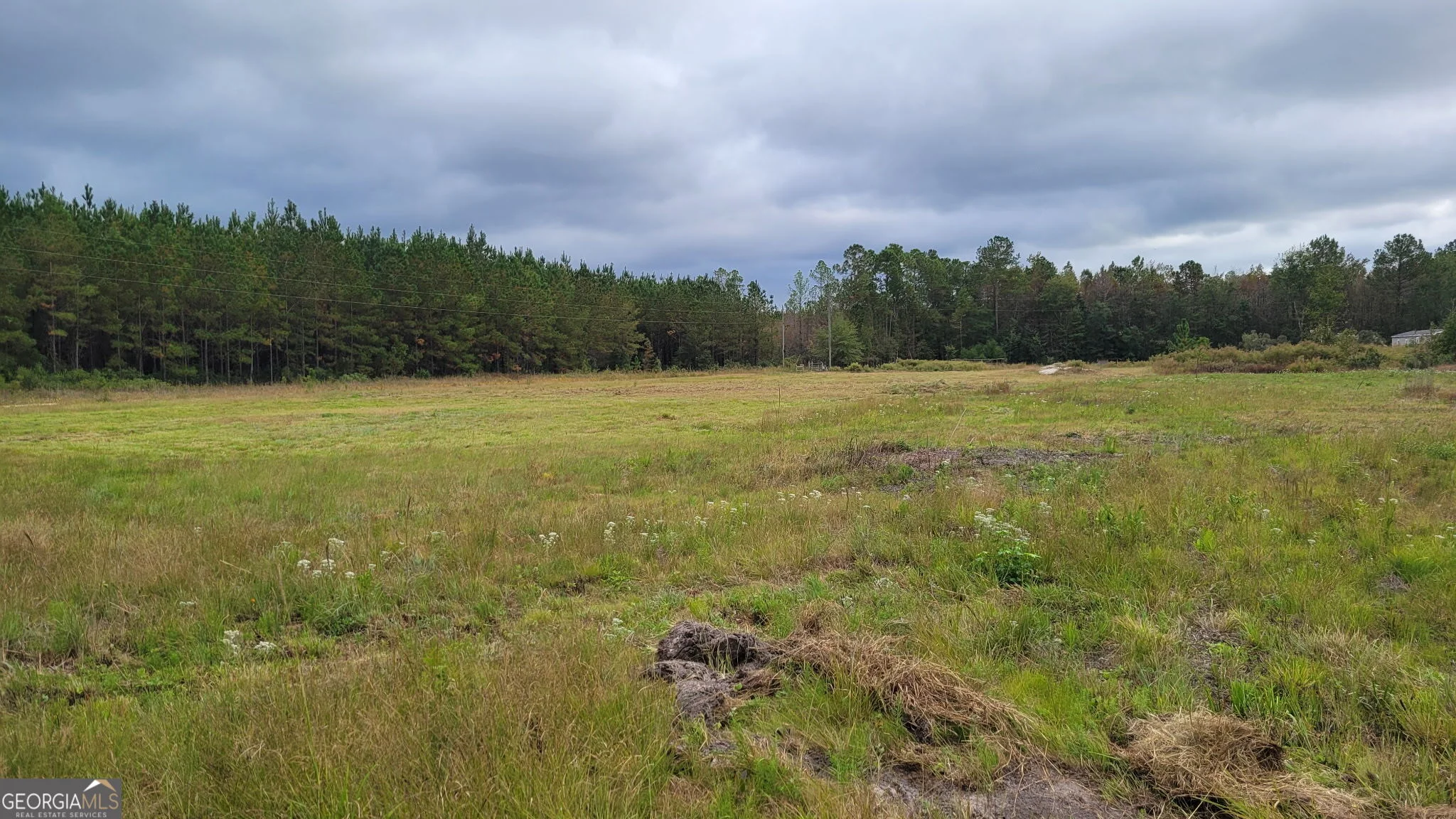 88 Rogers Break Road, Jesup, GA, 31546