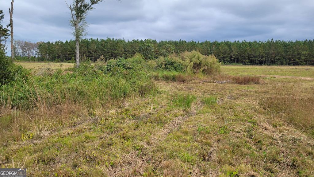 Photo of 88 Rogers Break Road, Jesup, GA 31546 (MLS # 10775604)