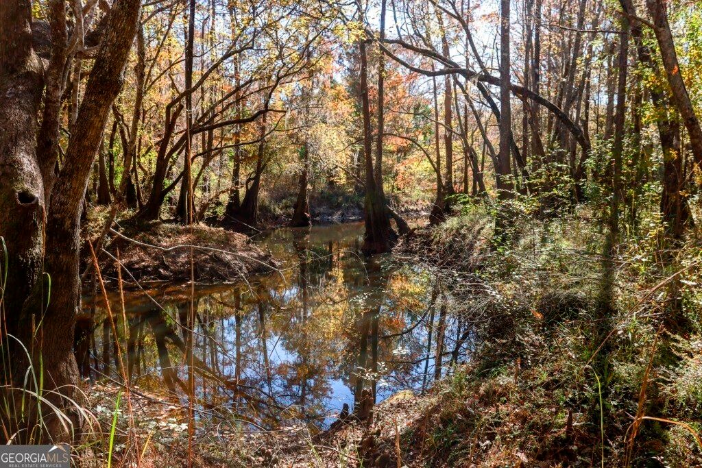 Photo of 0 Twin Forks Rd/Martin Road #TRACT 4, Statesboro, GA 30458 (MLS # 10700116)