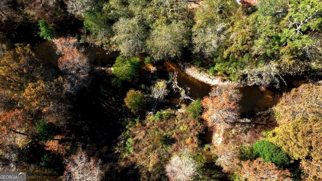 Photo of 0 Twin Forks Rd/Martin Road #TRACT 4, Statesboro, GA 30458 (MLS # 10700116)