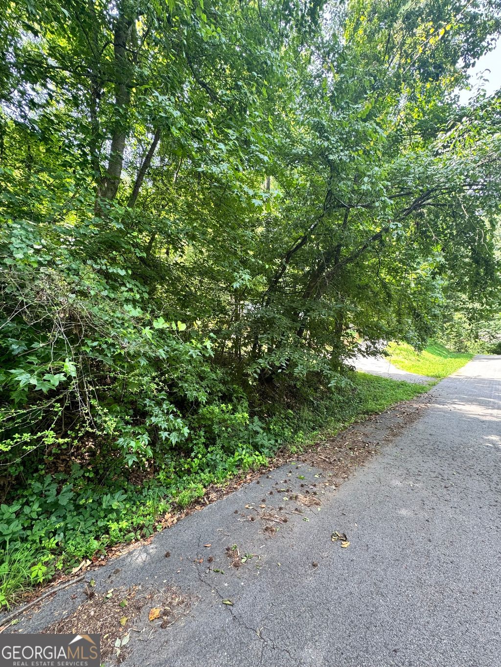 Photo of 1469 Lakeside Trail, Martin, GA 30557 (MLS # 10790247)