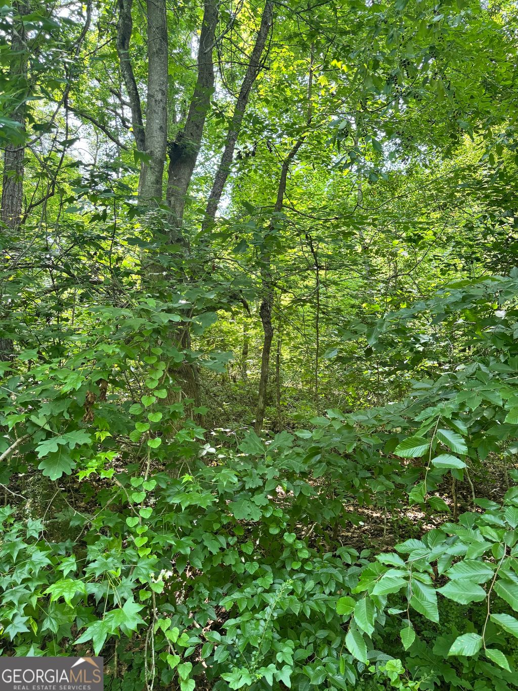 Photo of 1469 Lakeside Trail, Martin, GA 30557 (MLS # 10790247)