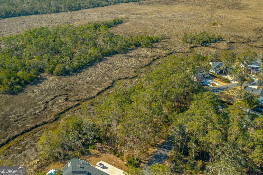 Photo of 119 Rice Mill ML, St. Simons, GA 31522 (MLS # 10770417)