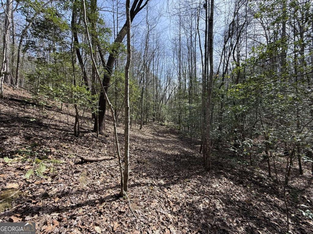 Photo of 0 Bayou Drive, Ellijay, GA 30540 (MLS # 10710813)