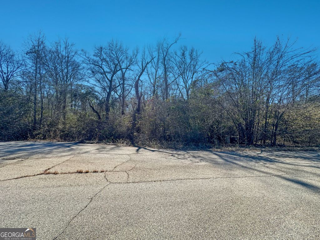 Photo of 319 Hawk Court, Macon, GA 31216 (MLS # 10683809)