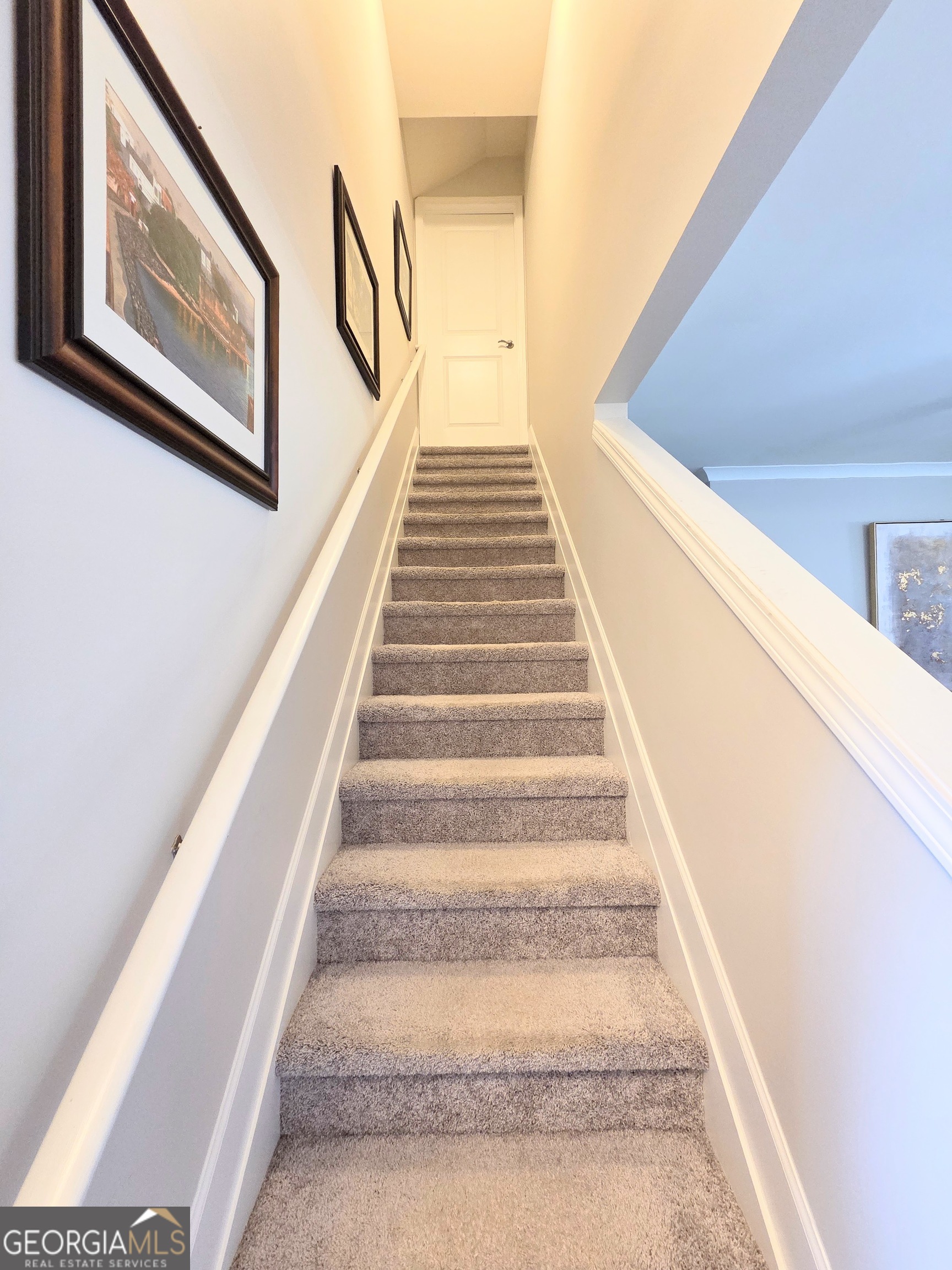 DEL WEBB @ CHATEAU ELAN - Residential