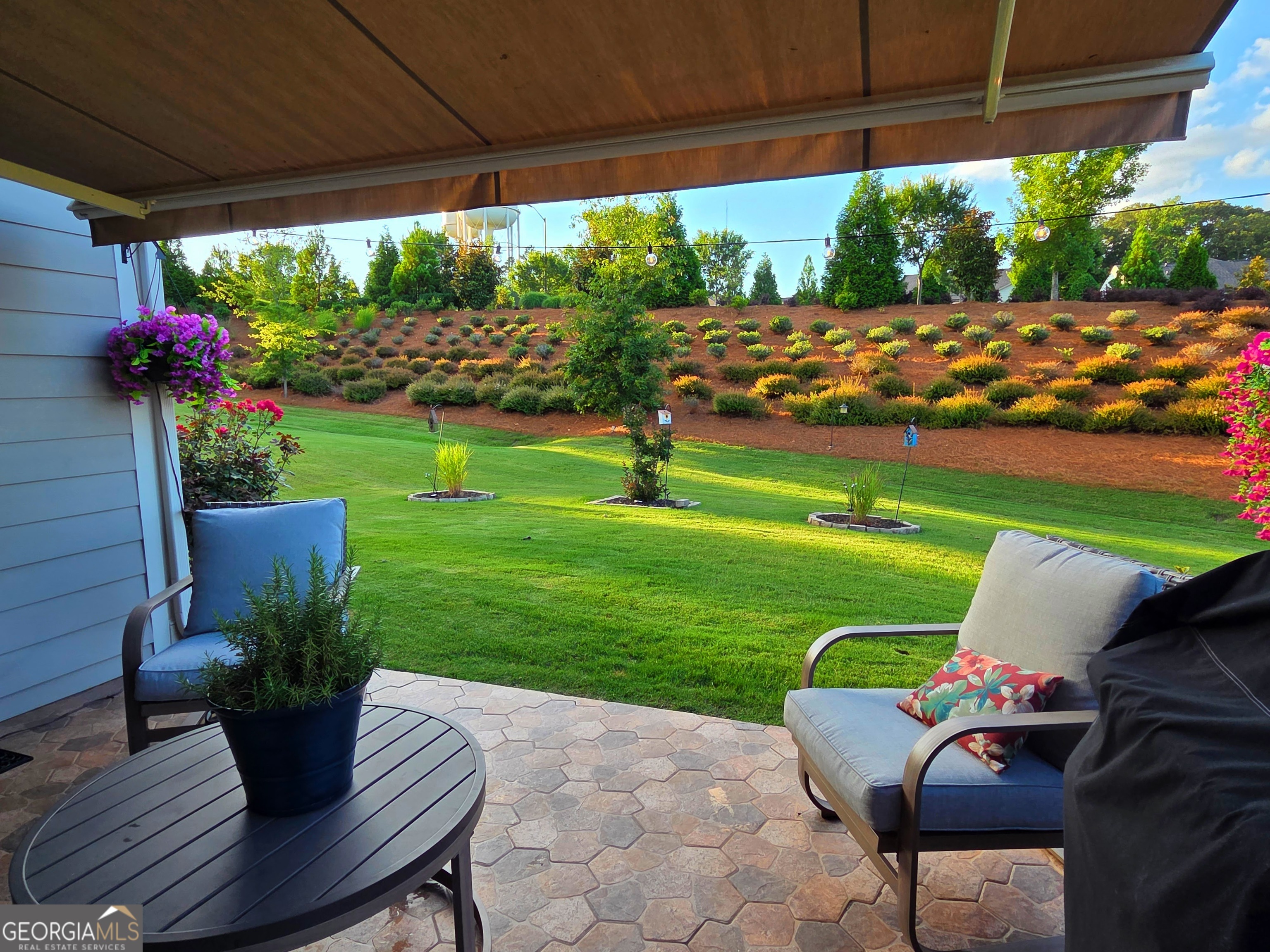 DEL WEBB @ CHATEAU ELAN - Residential