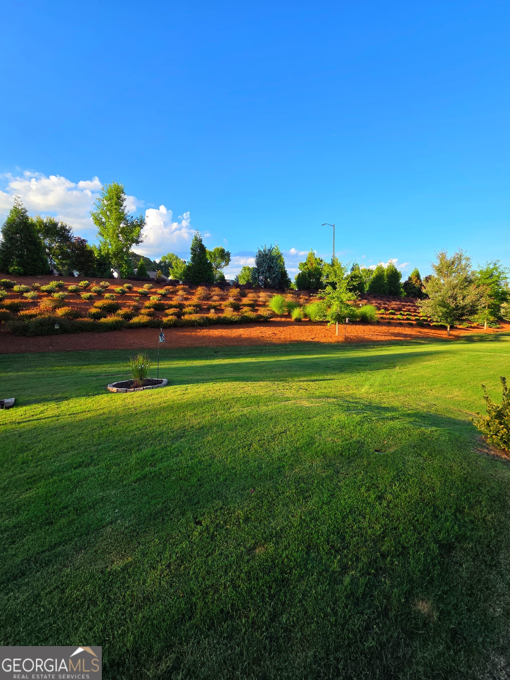 DEL WEBB @ CHATEAU ELAN - Residential