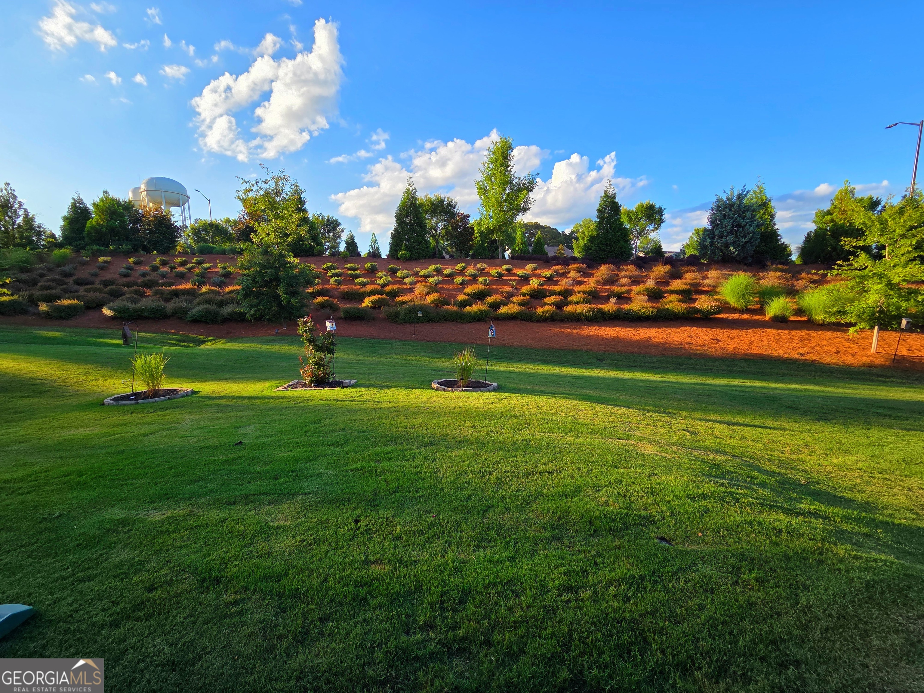 DEL WEBB @ CHATEAU ELAN - Residential