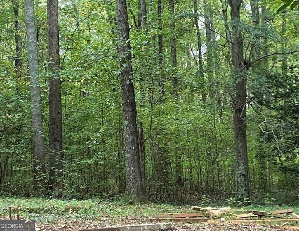 Photo of 2447 Holly Court #4, Cumming, GA 30041 (MLS # 10736413)