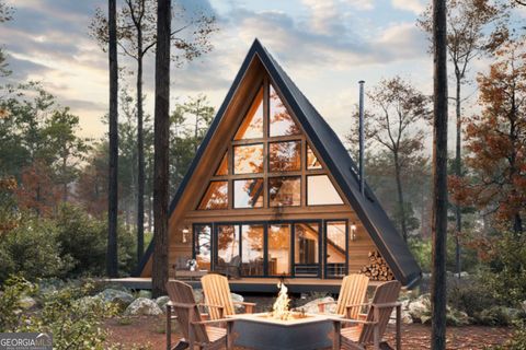 1924 Old Balls Ferry RD Toomsboro GA 31090