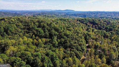 Photo of 3468 Fir Lane, Ellijay, GA 30540 (MLS # 10631198)