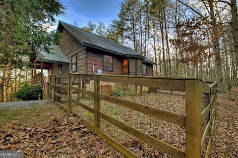 A home in Mineral Bluff