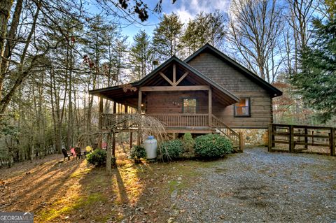 A home in Mineral Bluff