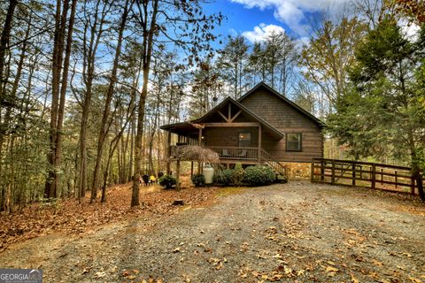 A home in Mineral Bluff