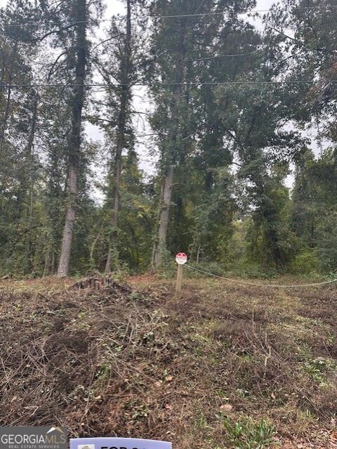 594 COOK DR Ellenwood GA 30294