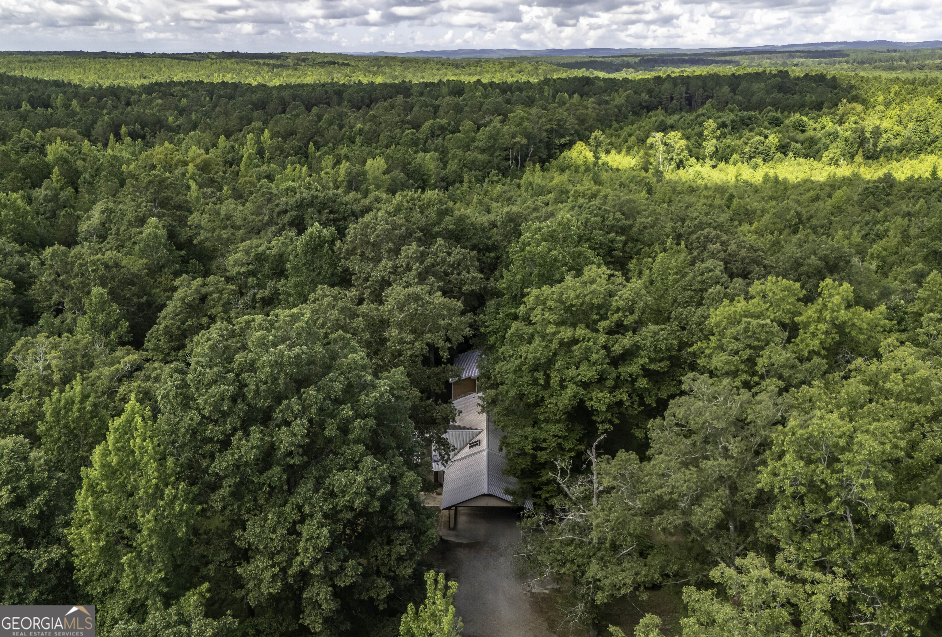 24499 County road 49