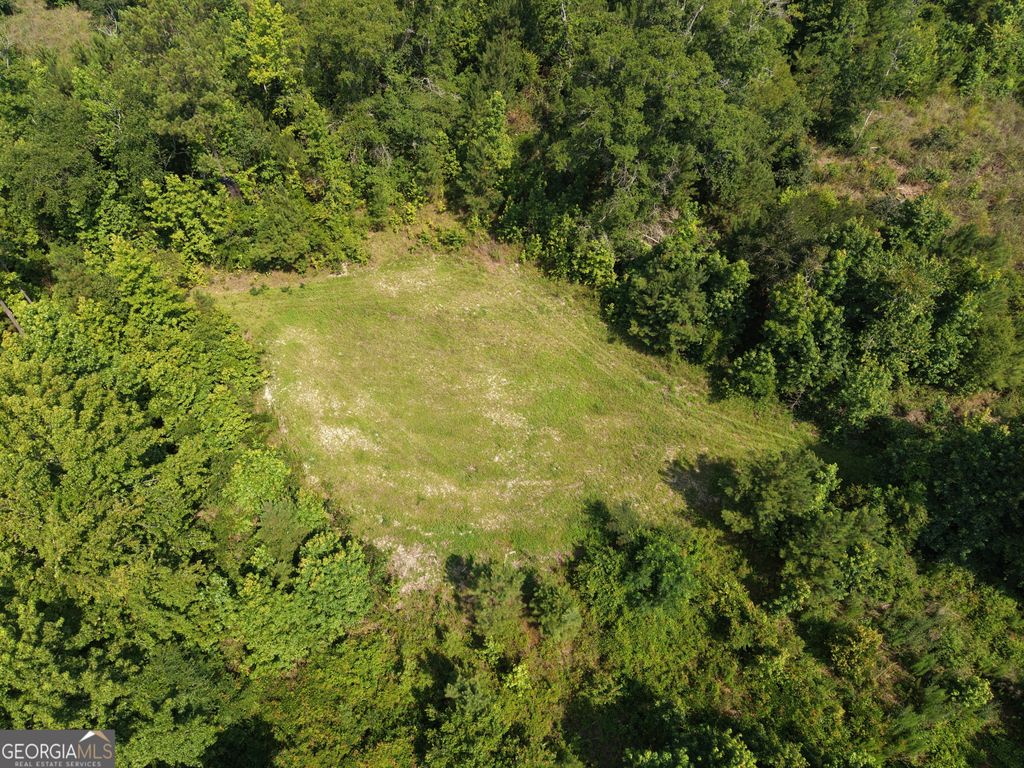 Photo of 0 Highway 17, Midville, GA 30441 (MLS # 10804180)