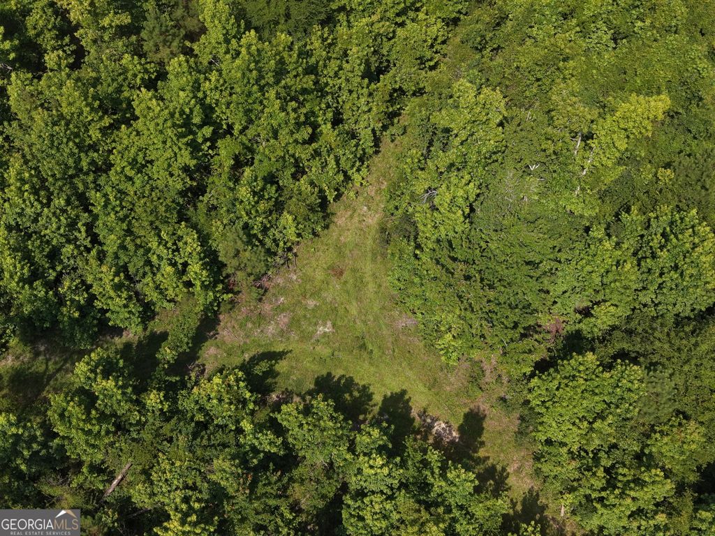 Photo of 0 Highway 17, Midville, GA 30441 (MLS # 10804180)