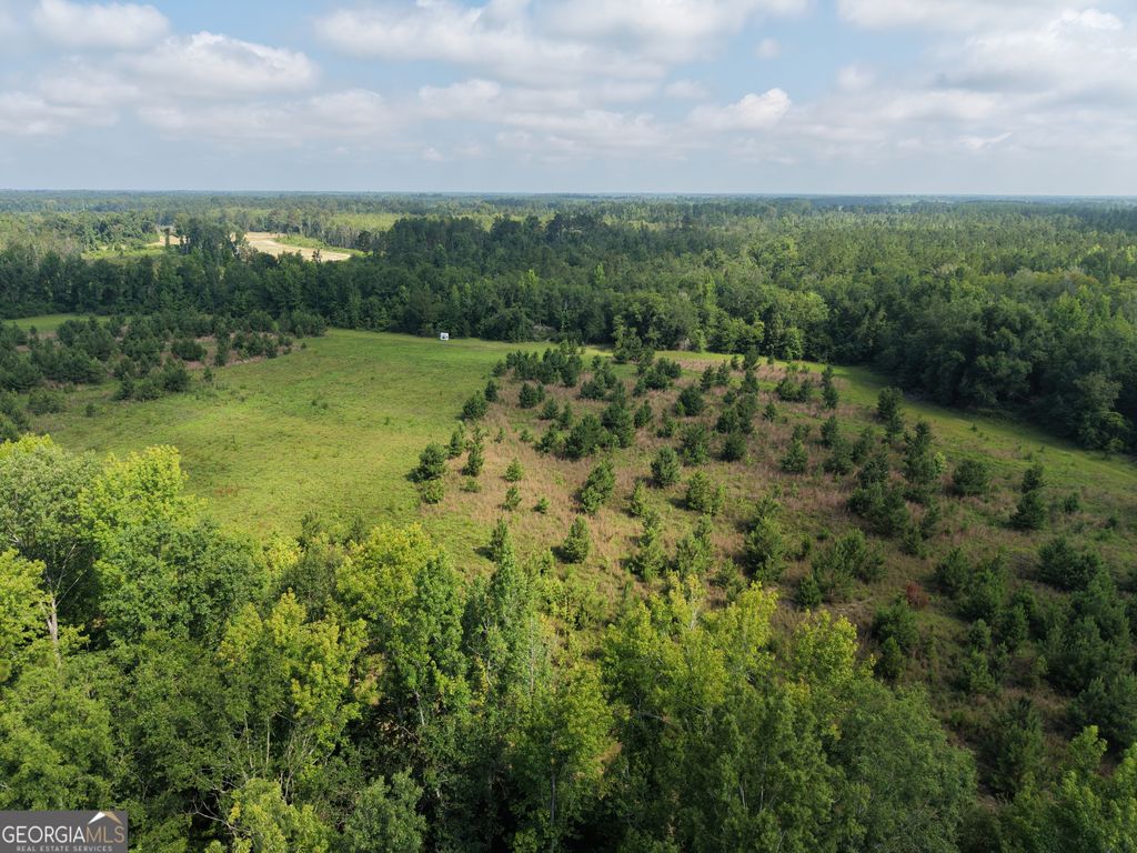 Photo of 0 Highway 17, Midville, GA 30441 (MLS # 10804180)