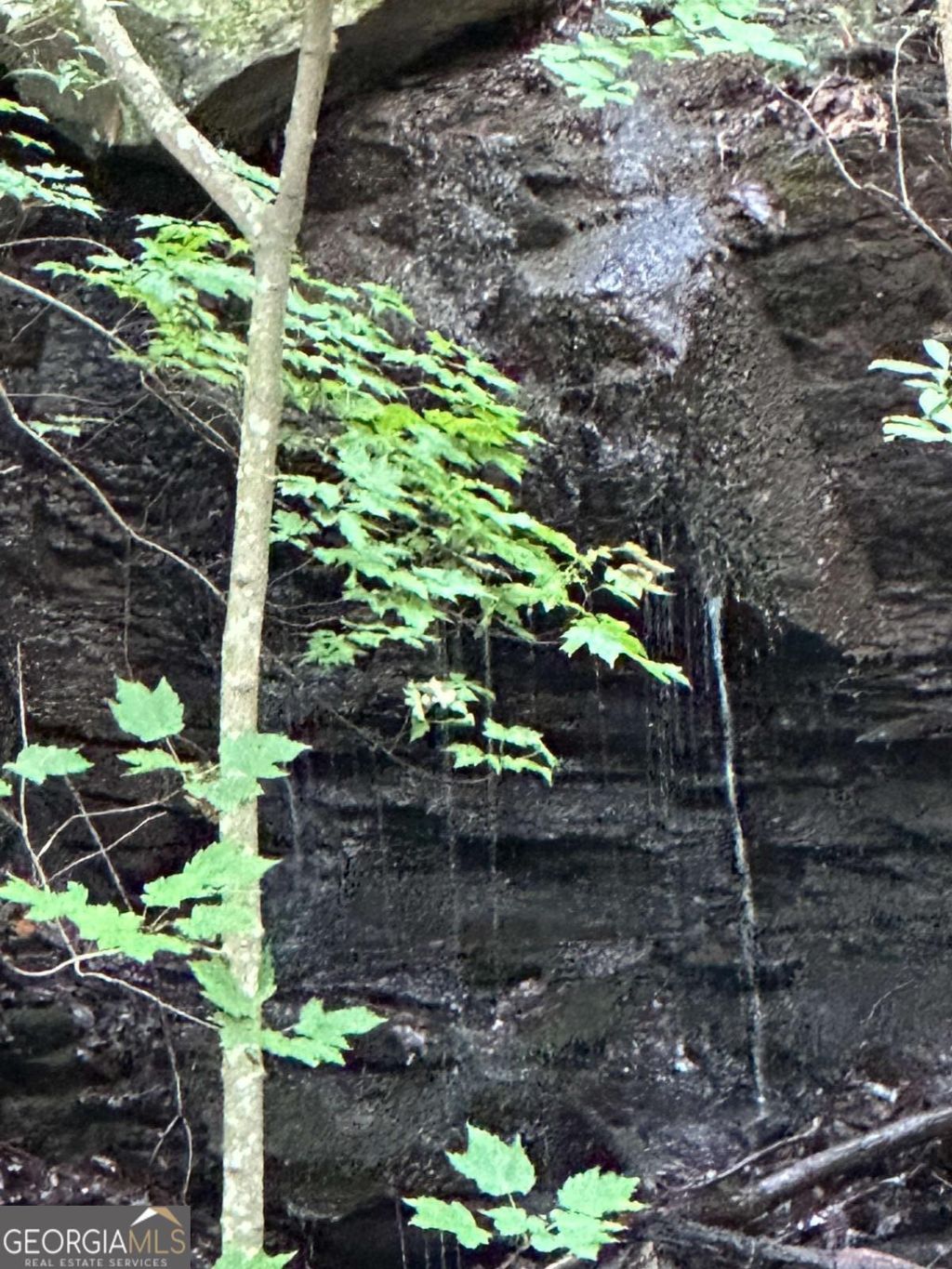 Photo of 12251227 Oglethorpe Road, Jasper, GA 30143 (MLS # 10702899)