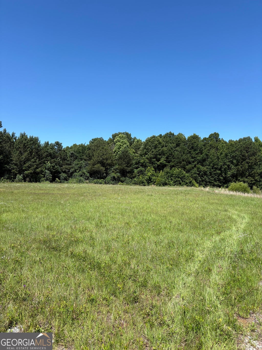 Photo of 331 M Friedman Drive, Sandersville, GA 31082 (MLS # 10781290)