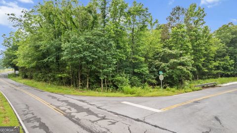 Photo of 0 McClain Road, Kingston, GA 30145 (MLS # 10537234)