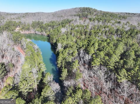 Photo of 15 +/- Acres on E. Hermitage Road, Kingston, GA 30145 (MLS # 10675379)