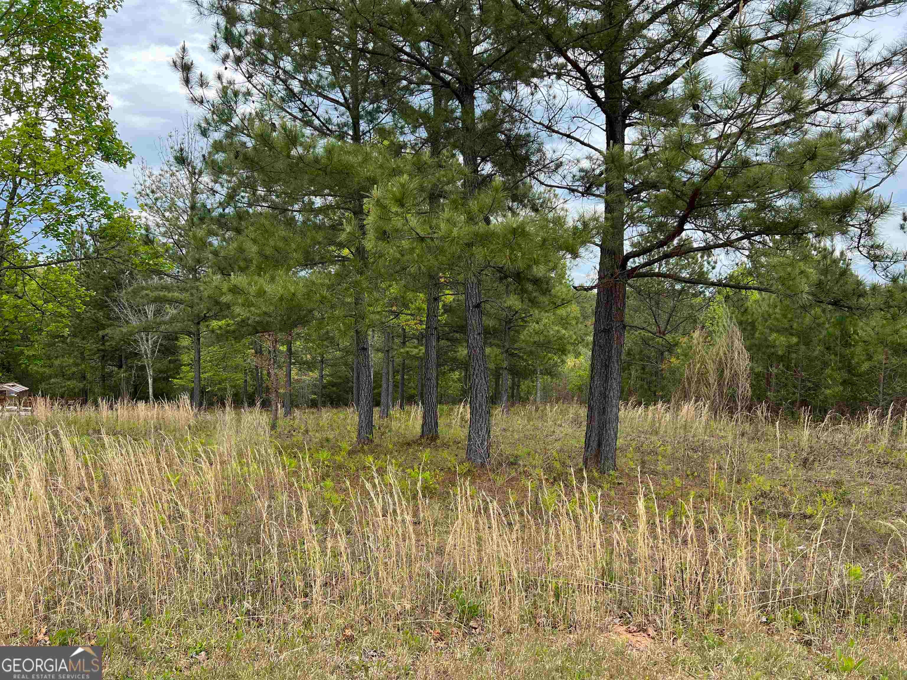 LOT 65 Village Loop