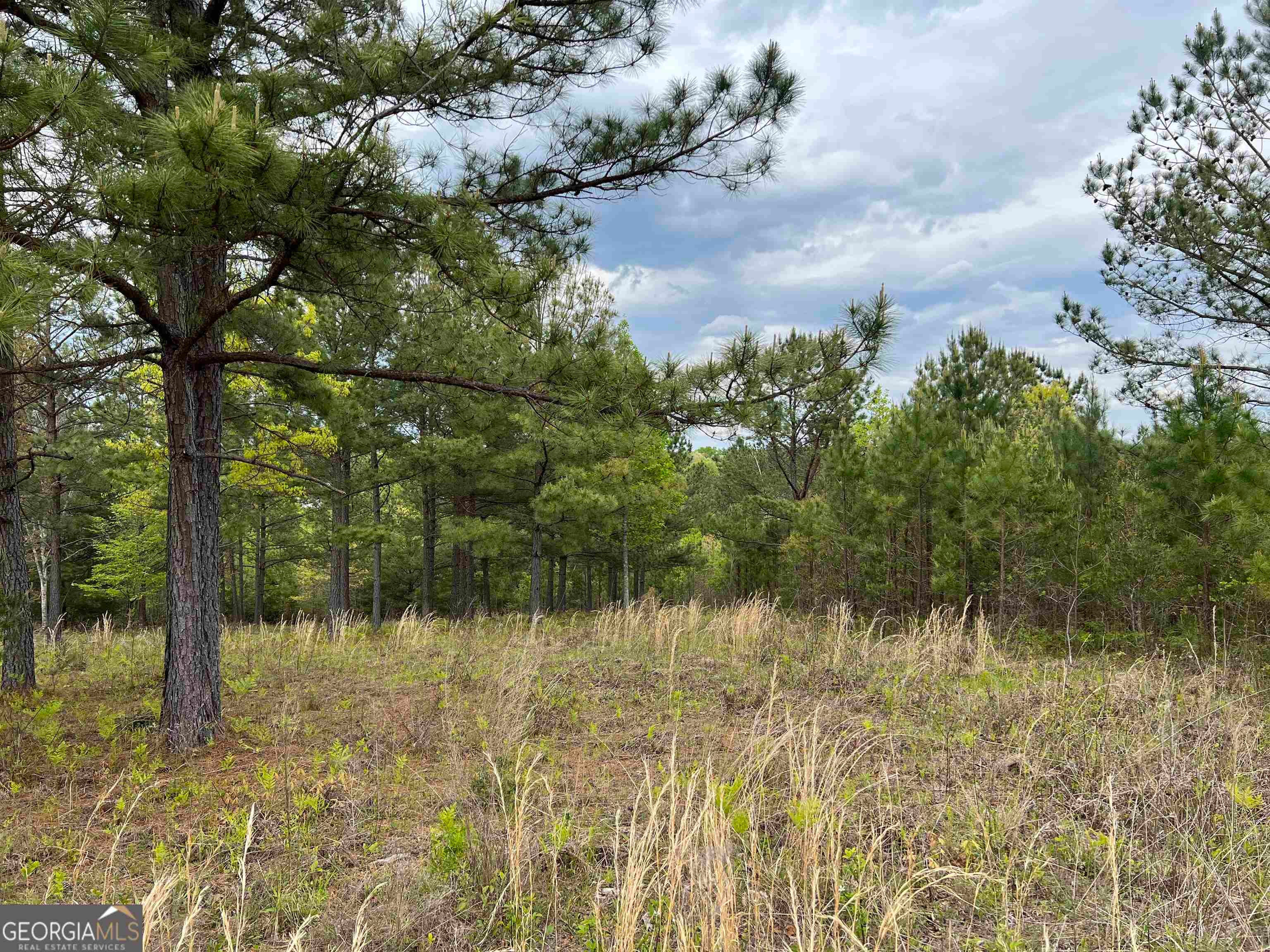 LOT 65 Village Loop