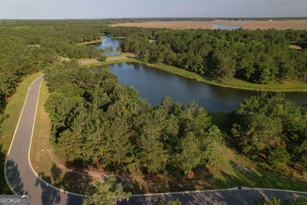 Discover the perfect canvas for your dream home with this 0.26-acre lagoon-front lot in the exclusive Bridge Pointe community of Waverly, Georgia. Nestled within a gated enclave, this homesite offers tranquil water views and a serene natural setting, ideal for those seeking a peaceful coastal lifestyle. Bridge Pointe at Jekyll Sound is renowned for its picturesque surroundings. The community showcases the beauty of Georgia's Golden Isles, providing residents with a unique blend of nature and luxury living. Conveniently located just a few miles from I-95, Bridge Pointe offers easy access to the charming towns of St. Simons Island, Jekyll Island, and Brunswick. Enjoy nearby beaches, golf courses, fishing spots, spas, and restaurants, all while residing in a community that values tranquility and natural beauty.